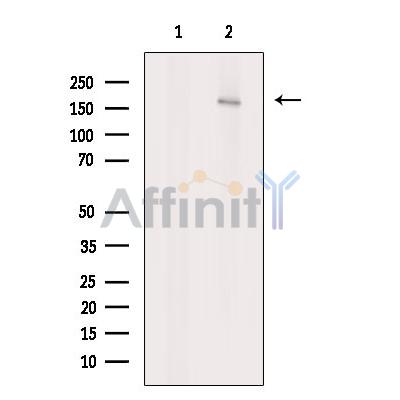 Валидация Affinity DF9246 - 21673