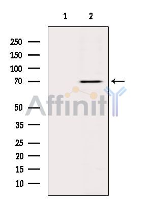Валидация Affinity DF7356 - 19069