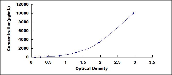 65040