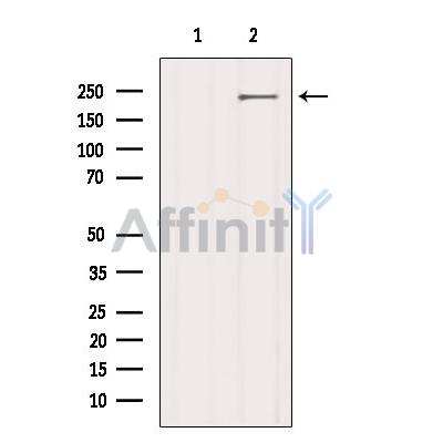 Валидация Affinity DF9610 - 22320