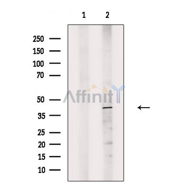 Валидация Affinity DF3492 - 14410