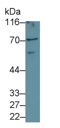 39580