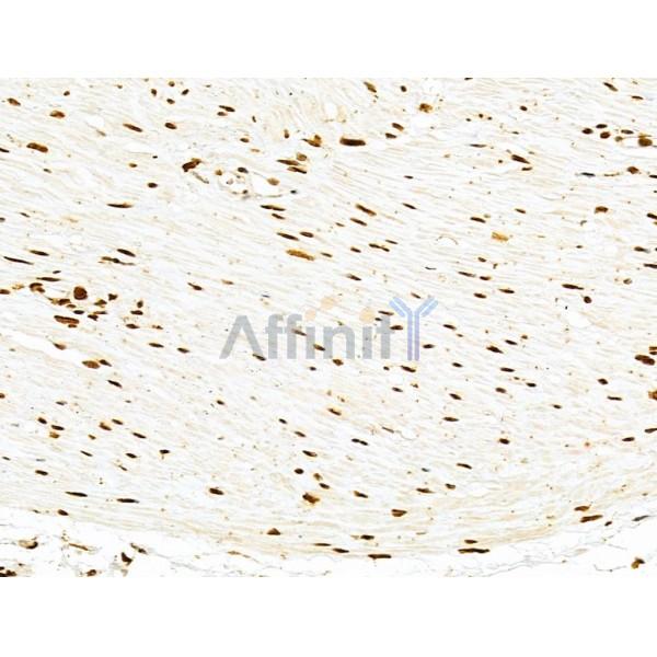 Валидация Affinity DF4827 - 16586