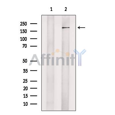 Валидация Affinity DF13567 - 9024