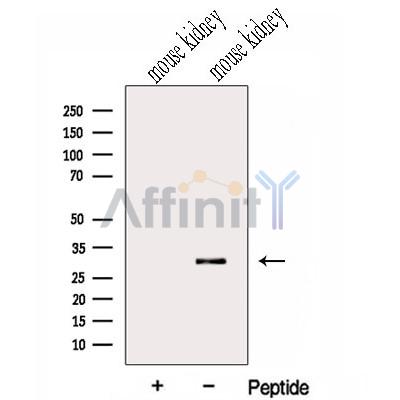 Валидация Affinity DF13047 - 7889