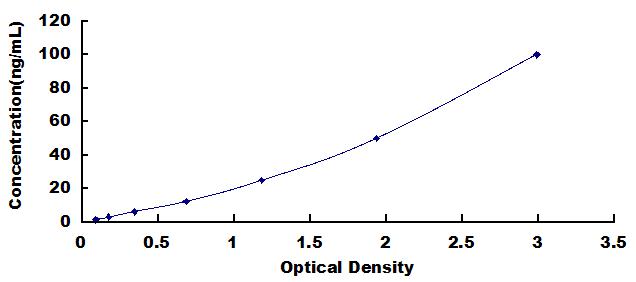 42091