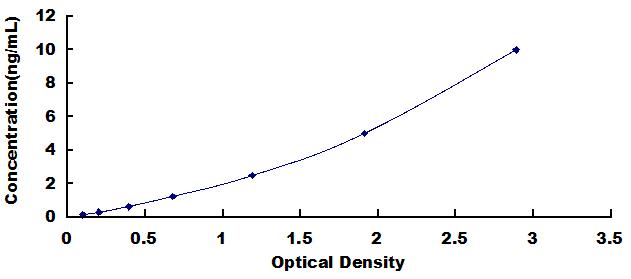 33584
