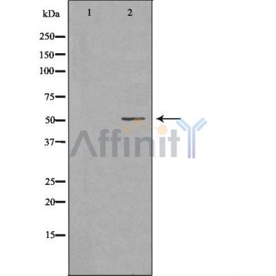 Валидация Affinity AF5446 - 3091