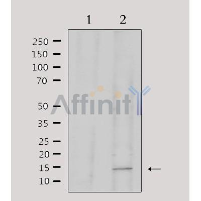 Валидация Affinity DF6458 - 17843