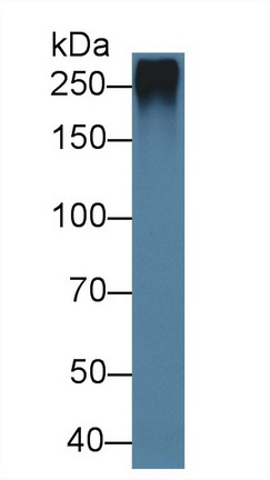 8478