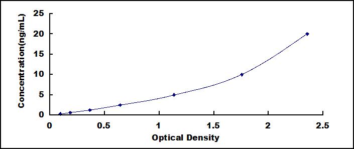 42033