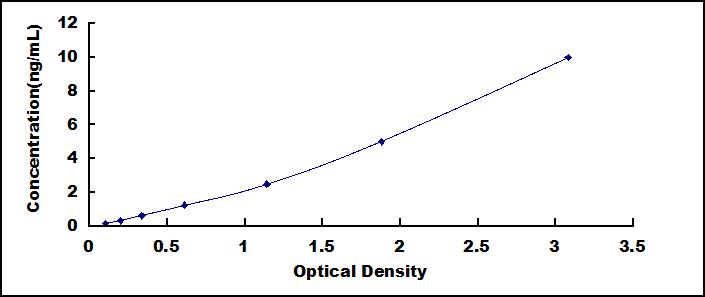 49584