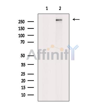 Валидация Affinity DF2565 - 13233