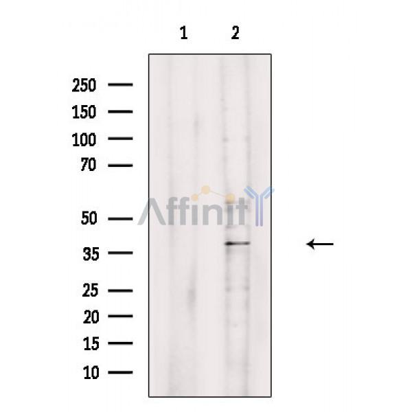 Валидация Affinity DF8769 - 20800