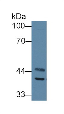 8959