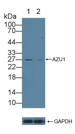 12134