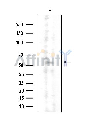 Валидация Affinity DF3907 - 15080