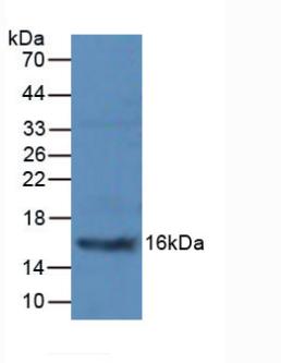 5813