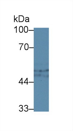8389
