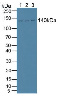 6285