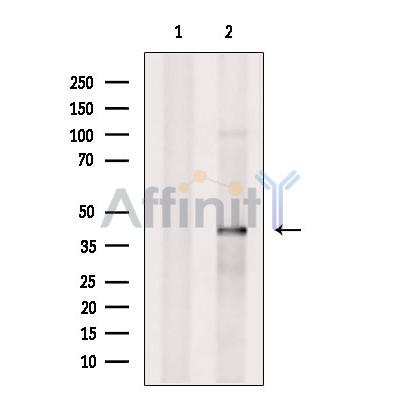 Валидация Affinity DF2473 - 13114