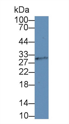 14071