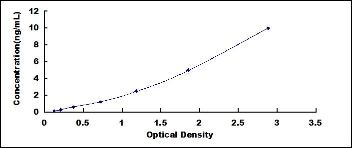 37406