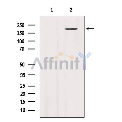 Валидация Affinity DF10201 - 5755