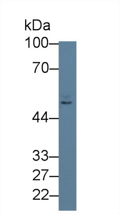 8582