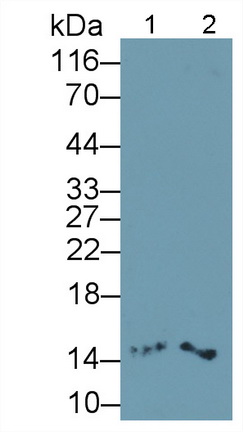 64941