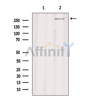 Валидация Affinity DF9383 - 21918