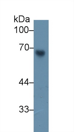13327