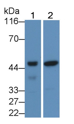 22881