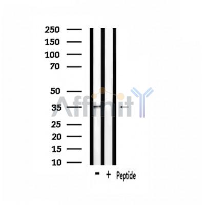Валидация Affinity DF2827 - 13581