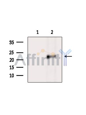 Валидация Affinity DF14765 - 10851
