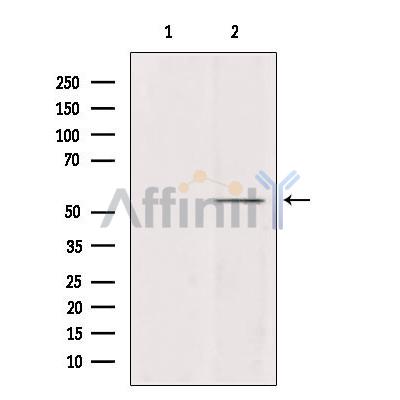 Валидация Affinity AF9002 - 4715