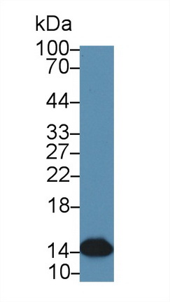 12417