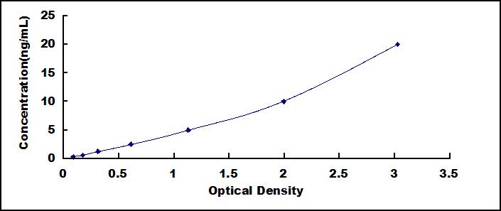 65087