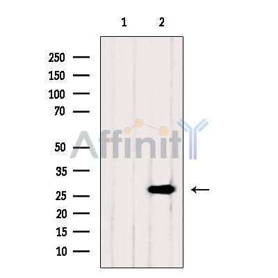 Валидация Affinity DF6377 - 17734