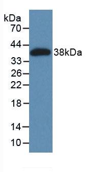 6674