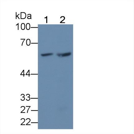 18418