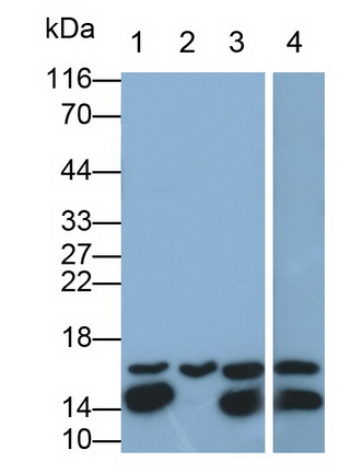 3785
