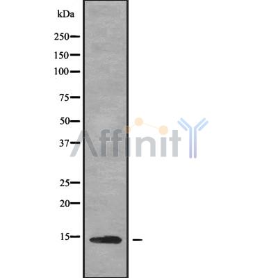 Валидация Affinity DF9473 - 22069