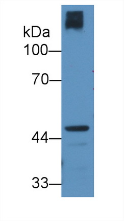 8844