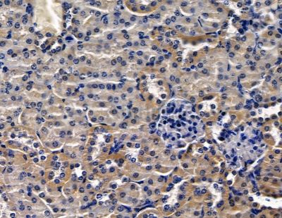 Валидация Affinity DF15726 - 12198