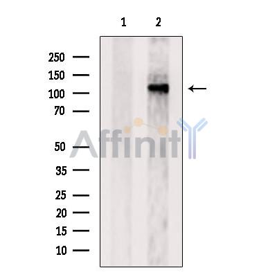 Валидация Affinity DF9453 - 22032