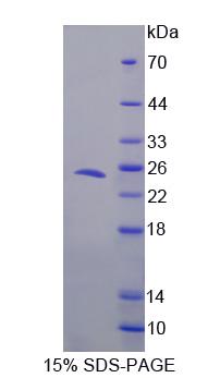 60312