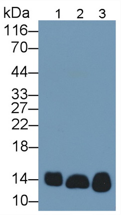 10535
