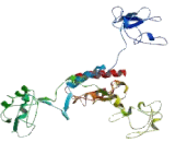 Platelet Membrane Glycoprotein IV (GP4)