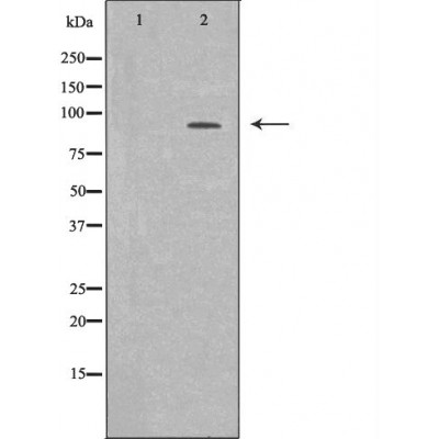 Валидация Affinity DF6407 - 17769